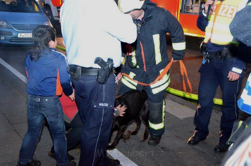 Feuer 3 Koeln Vingst Burgstr P222.jpg